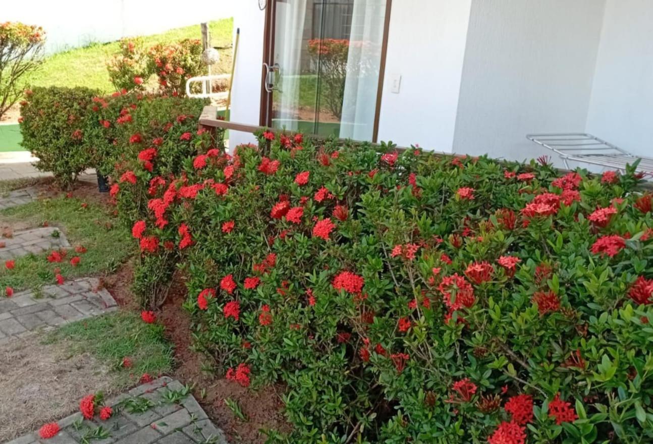 Flat Em Pipa - Brisas Do Amor Praia de Pipa Ruang foto